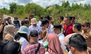 88f499073757bdf037b998e8f198f671ae664b007d6512c93301d1ae7bffbb74.0