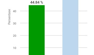 Screenshot_20241127_181205