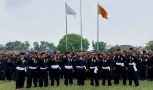 Screenshot_2024_1117_205745