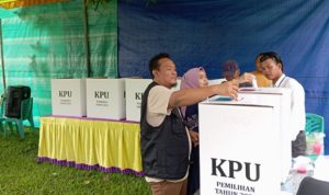 Screenshot_2024_1127_105133